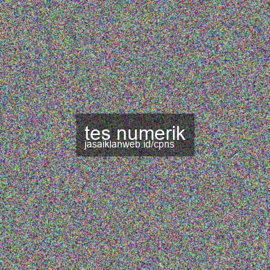 Tes Numerik