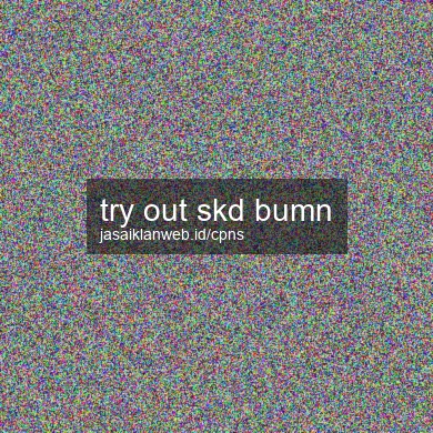 Try Out Skd Bumn